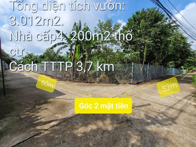 Quần jean True xt usa 4149