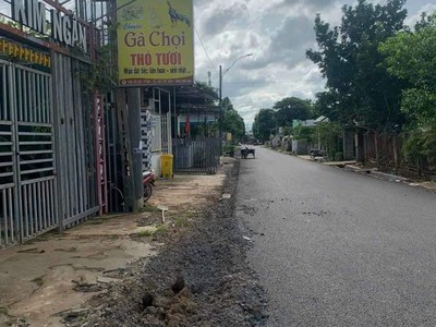 Quần jean True xt usa 4155