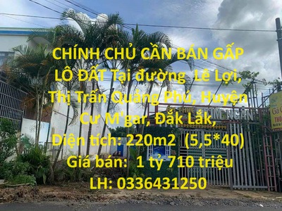 Quần jean True xt usa 4154