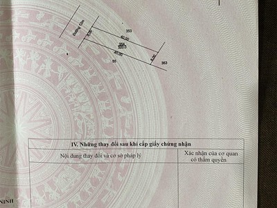 Quần jean True xt usa 4163