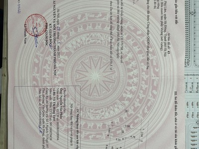 Quần jean True xt usa 4084