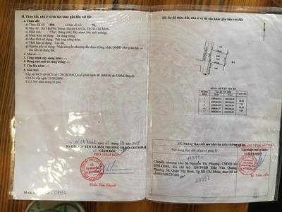 Quần jean True xt usa 4168