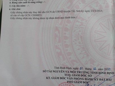 Quần jean True xt usa 4258