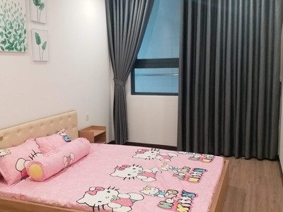 Cắt lỗ 600 triệu chính chủ cần ra gấp căn hộ 80m2 chung cư c skyview thủ dầu một, bình dương 1