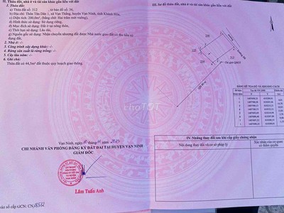 Quần jean True xt usa 4296