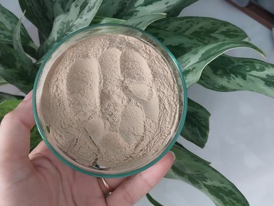 Sản phẩm từ nấm men Star Yeast 1