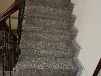 Quần jean True xt usa 5385