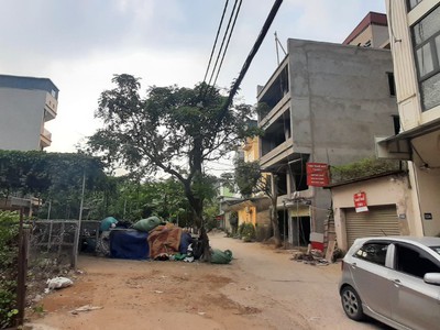 Quần jean True xt usa 5897