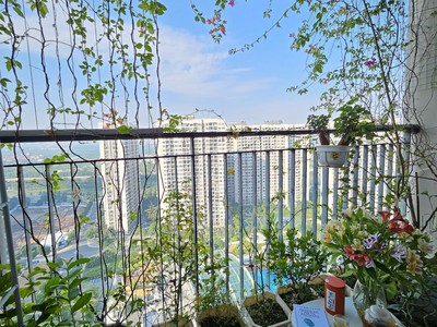 Cho thuê căn hộ tại ocean city 3 ngủ 2 vệ sinh full đồ nội thất đẹp chủ dẽ tính 0