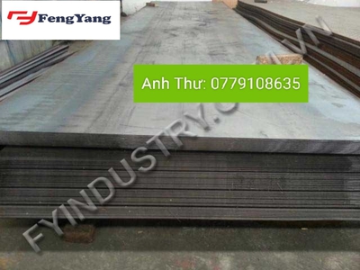 Quần jean True xt usa 5290