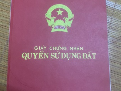 Quần jean True xt usa 5352