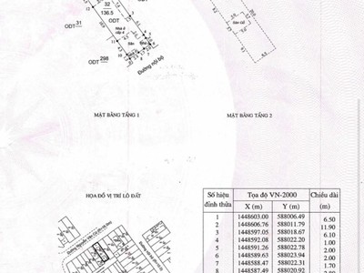Quần jean True xt usa 5358