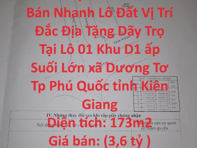 Quần jean True xt usa 5816