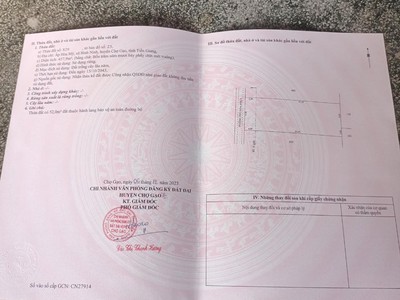 Quần jean True xt usa 5825