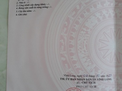Quần jean True xt usa 5837