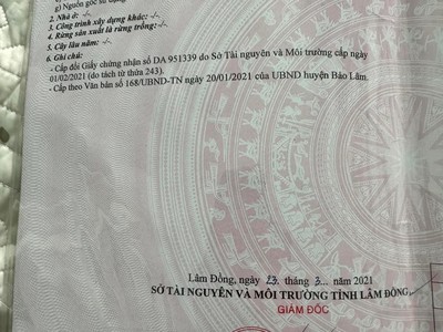 Quần jean True xt usa 5847