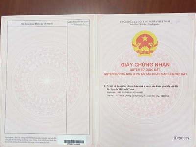 Quần jean True xt usa 5899