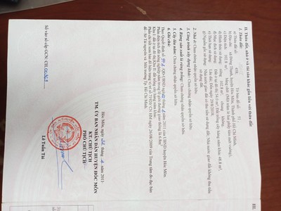 Quần jean True xt usa 5903