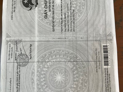 Quần jean True xt usa 5963