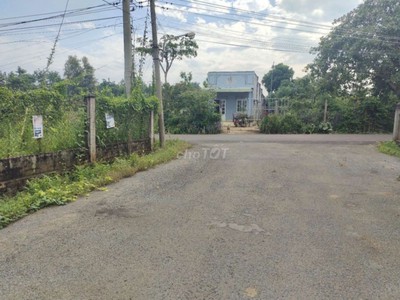 Quần jean True xt usa 5970