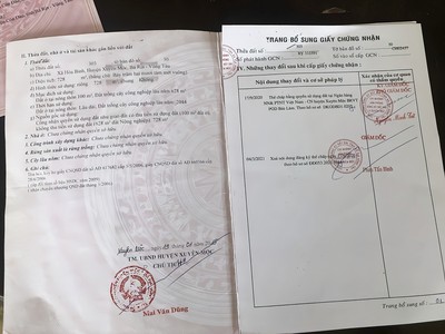 Quần jean True xt usa 5972