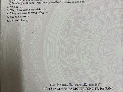 Đất lô góc 2 mt trần triệu luật   hoàng trung thông 1