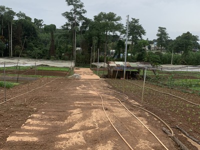 Đất Bắc Sơn Cực Ngợp 6