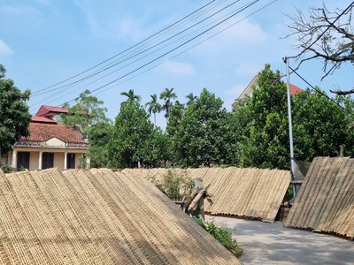 Máy sấy ẩm công nghiệp chuyên dùng sấy bánh đa nem, bánh tráng 0
