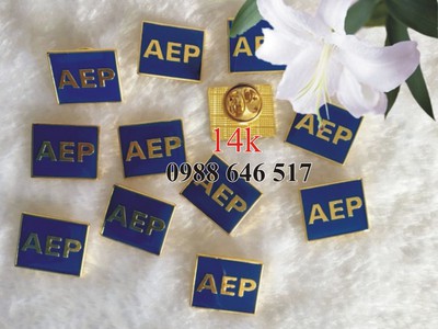 Huy hiệu đẹp, in logo, huy hieu, huy hiệu cài áo, huy hieu cai ao 4