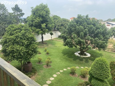 Biệt thự sân vườn-mặt tiền đường lớn full nội thất-tân xuân 2 hóc môn. 1