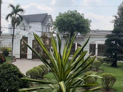 Biệt thự sân vườn-mặt tiền đường lớn full nội thất-tân xuân 2 hóc môn. 0