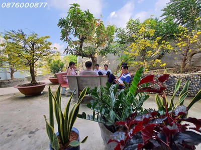 Bán nhà vườn 850m2 xã hòa thành lai vung, cách chợ đình hòa thành 200m view sông full nội thất 4
