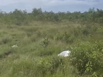 Bán gấp 1.85ha dương đông - bãi thơm, suối cát, cửa dương, phú quốc 1