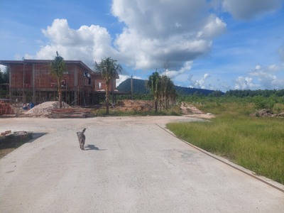 Bán gấp 1,78ha dương đông -bãi thơm, suối cát, cửa dương, phú quốc 1