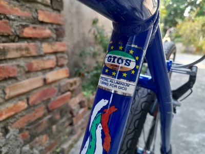 Bán xe đạp thể thao Touring GIOS thương hiệu Ý 3