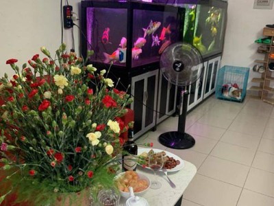 Bán căn hộ Lotus Garden, 51m2 giá rẻ 2 tỷ 150/căn. 1