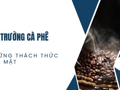Ảnh hưởng của biến động giá cả cà phê đối với thị trường 0