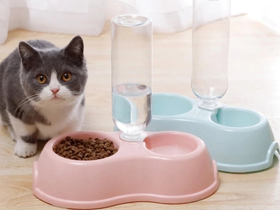 Bát ăn và uống nước 2 trong 1 cho chó mèo Bát đựng thức ăn và bát uống nước cho chó mèo. 0