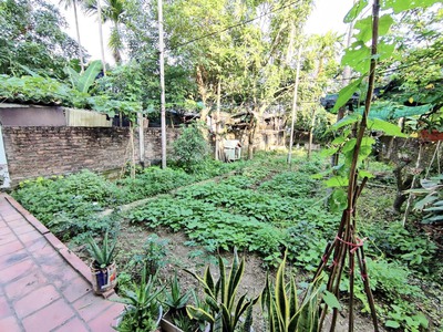 CHO THUÊ nhà sân vườn 90m2 gần chợ Đông Hải 1, Full đồ chỉ 10 triệu/tháng. 2