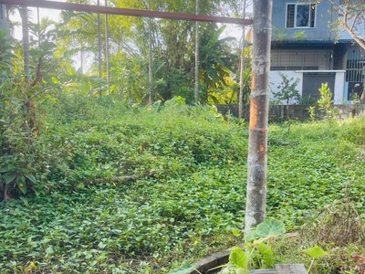 Bán Đất Thôn Đông, Lâm Động, 63m2, Hướng Bắc, Ngõ Oto, Giá 750tr. 1