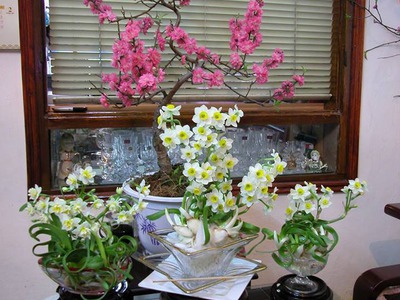 Bán củ hoa Thủy Tiên , bình hoa Thủy Tiên gọt trổ tạo dáng nghệ thuật đón Xuân Giáp Thìn 2024 13