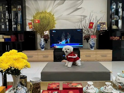 Bán nhà tâm quyết đường a1 kđt vĩnh điềm trung,cạnh trường quốc tế singapore 0