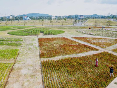 Khu dịch vụ hỗn hợp VSIP Quảng Ngãi siêu phẩm nên  đầu tư ở thời điểm này 4