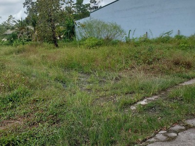 Tôi chính chủ cần bán đất tỉnh lộ 839 cách cầu ông bính 700m đức huệ, long an 0