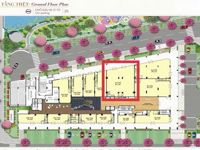 Phú mỹ hưng mở bán 1 shophouse khu midtown - diện tích siêu lớn 608m2 - 1 trệt 1 lầu, mua tt cđt - 1