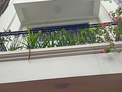 Liền kề Mỹ Đình 85m2 5 tầng hoàn thiện đẹp 0