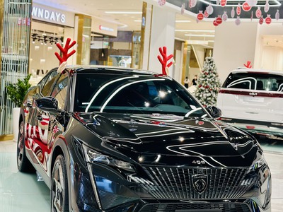 Kết hợp hài hòa giữa tính mạnh mẽ, thể thao của SUV cùng phong cách độc đáo của Coupe, diện mạo củ 4
