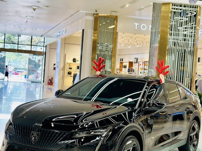 Kết hợp hài hòa giữa tính mạnh mẽ, thể thao của SUV cùng phong cách độc đáo của Coupe, diện mạo củ 5