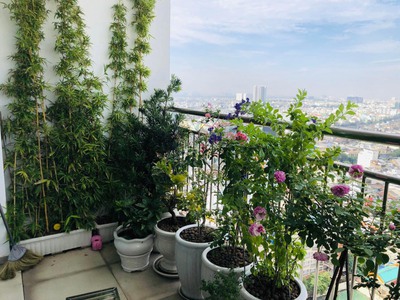 Chính chủ cần bán căn hộ Tản Đà Court, Phường 11,  Quận 5: -	View cự đẹp Căn hộ Duplex 2 tầng 1
