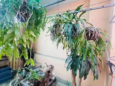 Nhà hoàng quốc việt 70 m2, 5 tầng ,mặt tiền kinh doanh buôn bán đỉnh , giá hơn 7 tỷ . 4